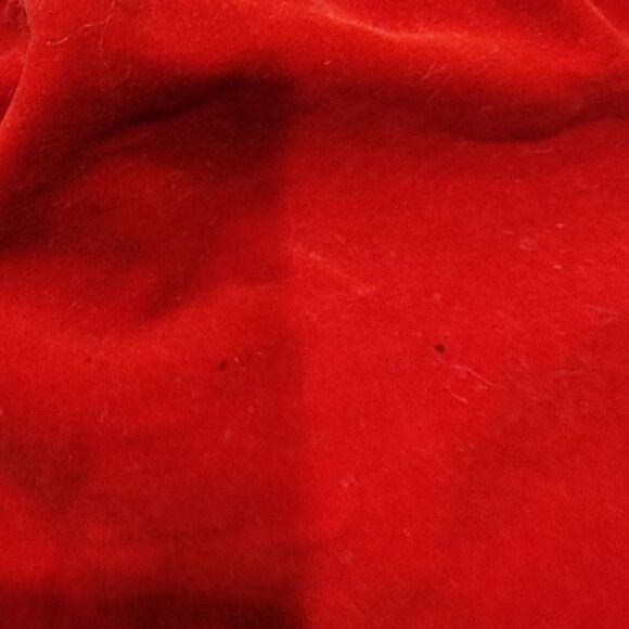 Red Floral Velvety Smoked Dress - Picture 8 of 10